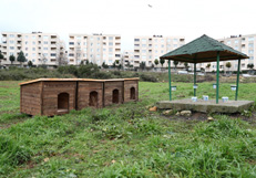 Besleme Odaklari 11