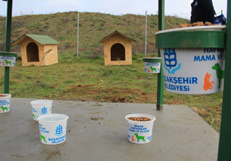 Besleme Odaklari 5