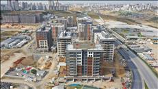 dji 0381 18 8 22806