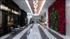 3g7a0198 27 11 23225