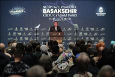 img 8455 11 12 23166