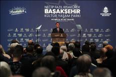img 8458 11 12 23115