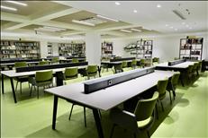 yasinkartoglu0137 17 11 25175