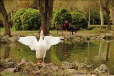 yesilin sehri basaksehir 26 10 26703